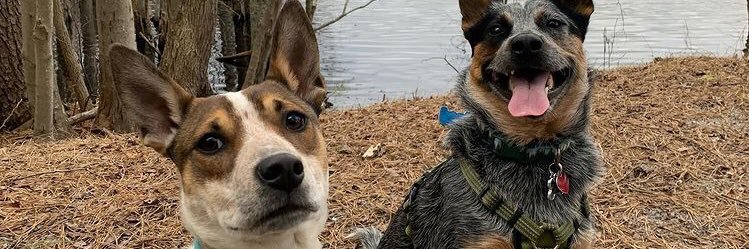 Litty14's profile banner image