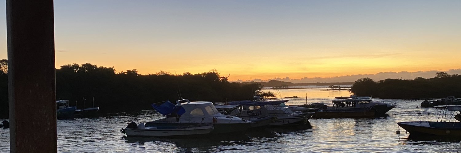 FelipeAlava's profile banner image