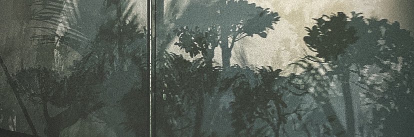 apelogluu's profile banner image