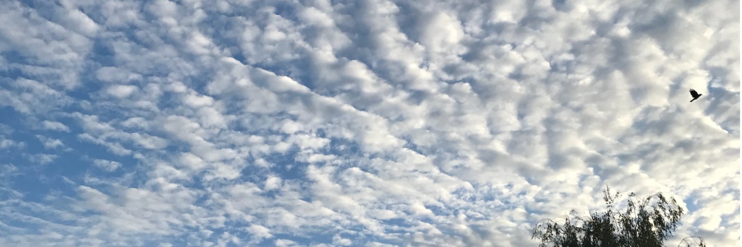 Barbara78's banner
