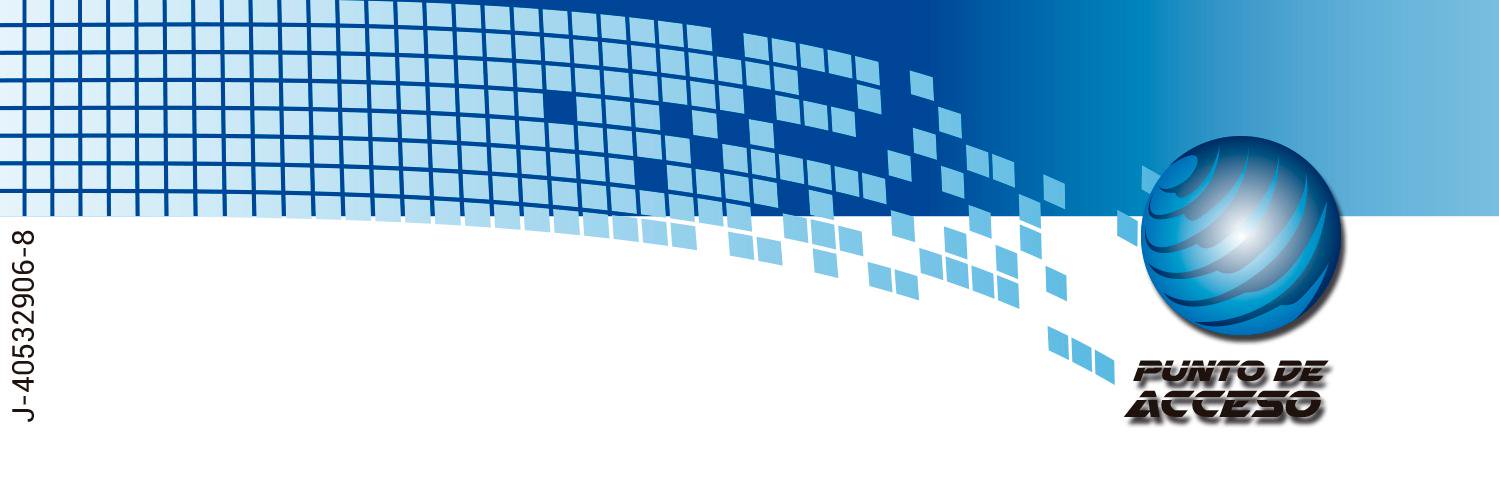 Punto de Acceso banner