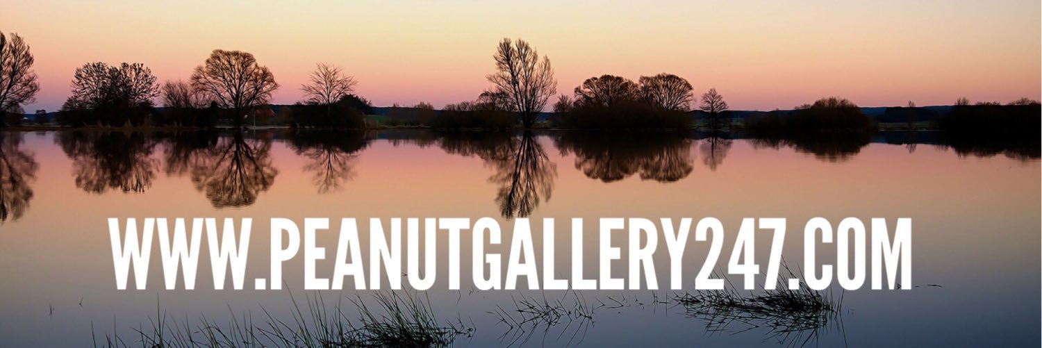 ✨Peanut Gallery 247✨ banner