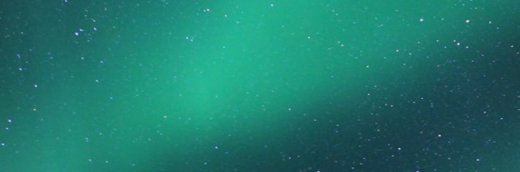 lofty_lily's profile banner image