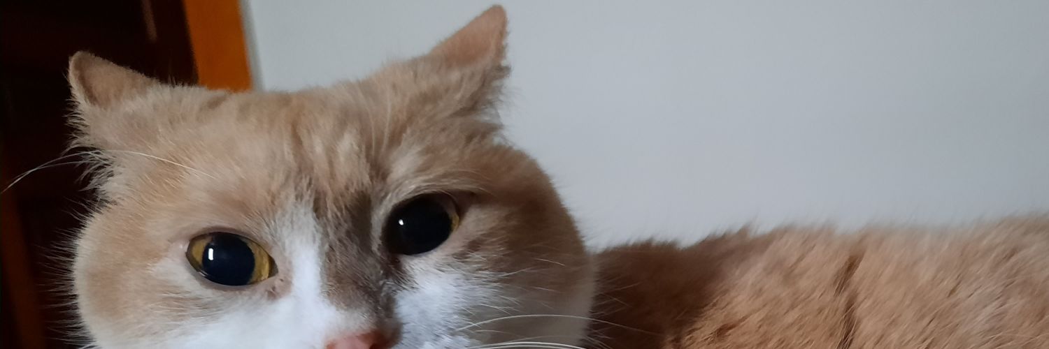 CanuckGerbil's profile banner image