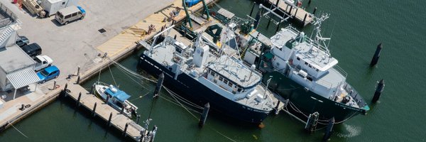 fio_stpete Profile Banner