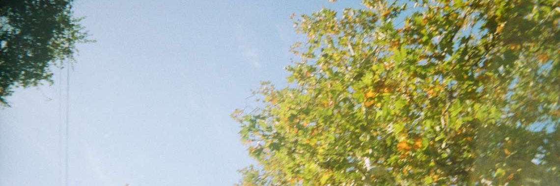 Grace Lu | Medalist s2 💙 banner