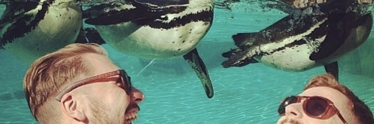 Findlaÿ EN MacAskill banner