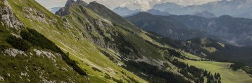 TeeDeeLautner's profile banner image