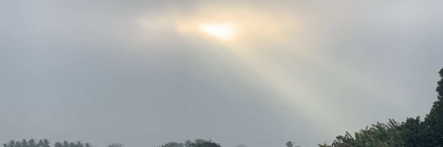 鯊鯊 banner