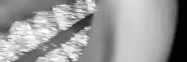 𝗭𝗢𝗭𝗢 🎀 𝘀𝗹𝘂𝘁˚✧₊◆︎ banner