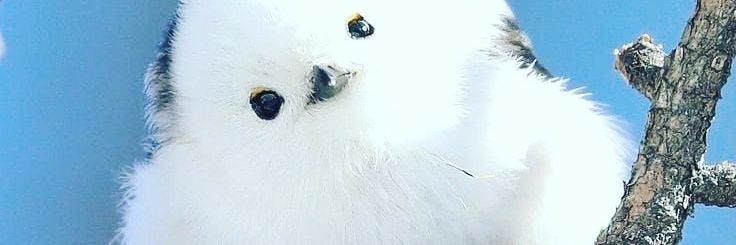 mwhhdh's profile banner image