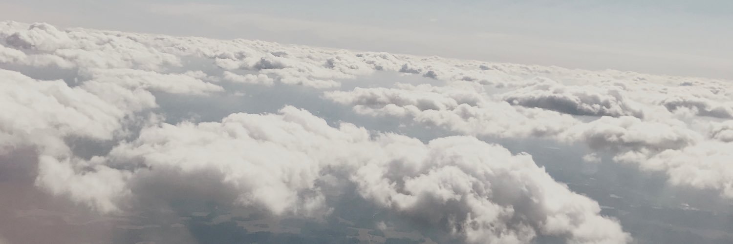lexiss_nelson's profile banner image