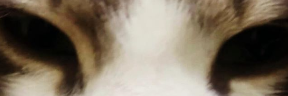 isNotLifeSucks's profile banner image