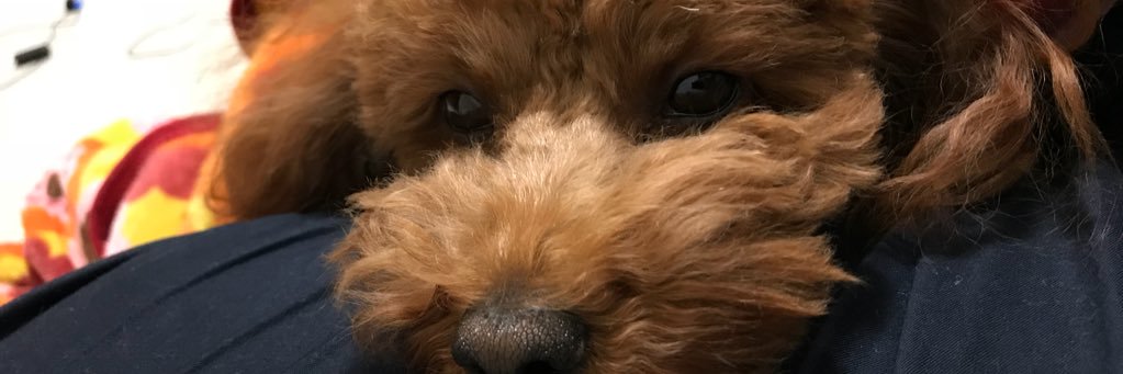 mysntg's profile banner image