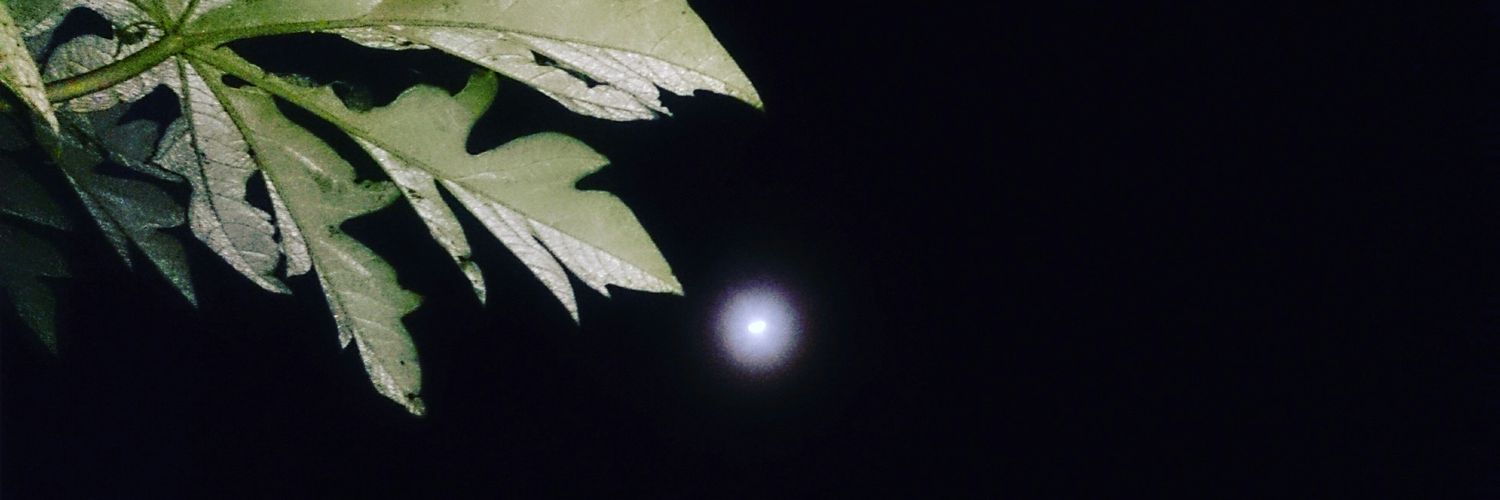 baadruunn's profile banner image