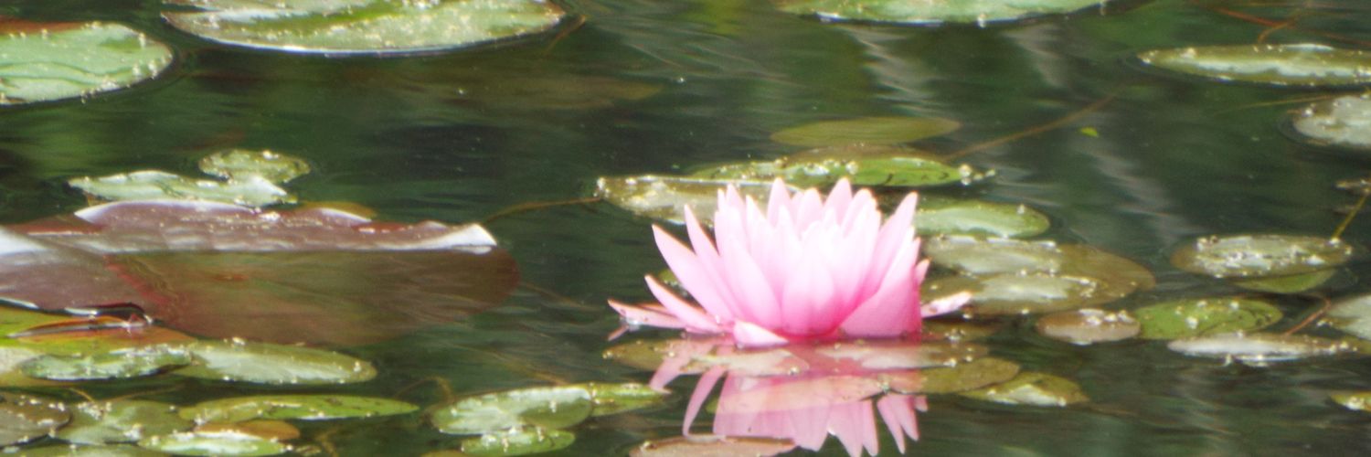 AmandaGoesLive's profile banner image