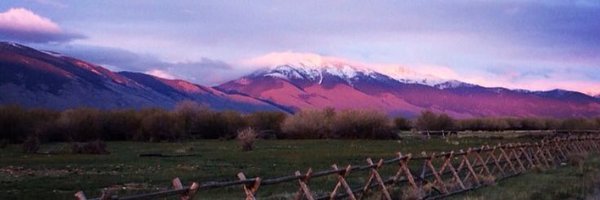 megan_A_moore Profile Banner