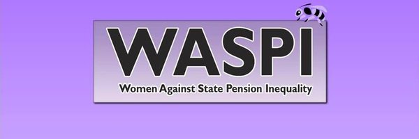 solent_waspi Profile Banner