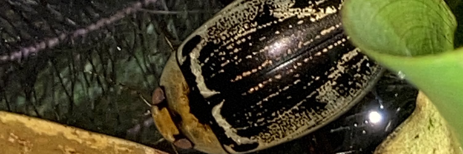 プラス(+-)マイナス banner