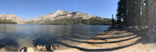 ShawnaDLink Profile Banner