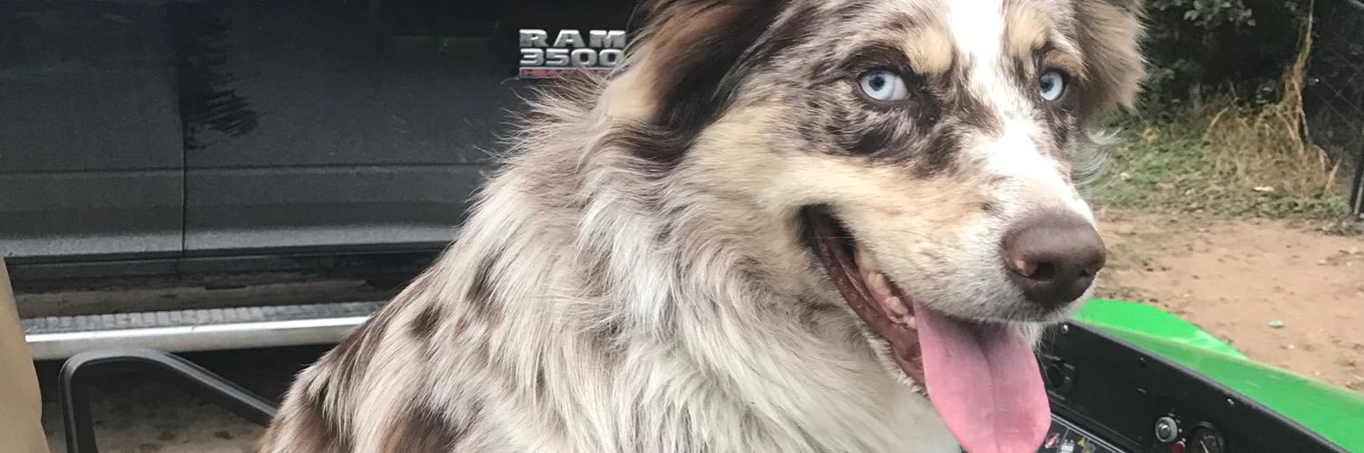 True Commandalorian banner