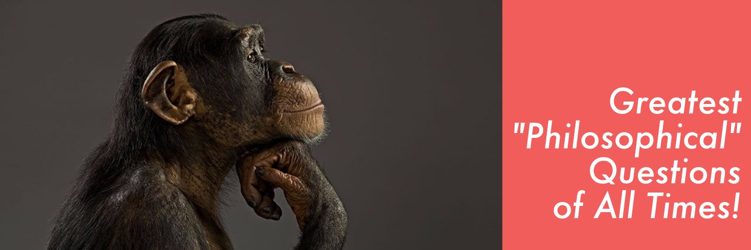 QuestionLoop's profile banner image