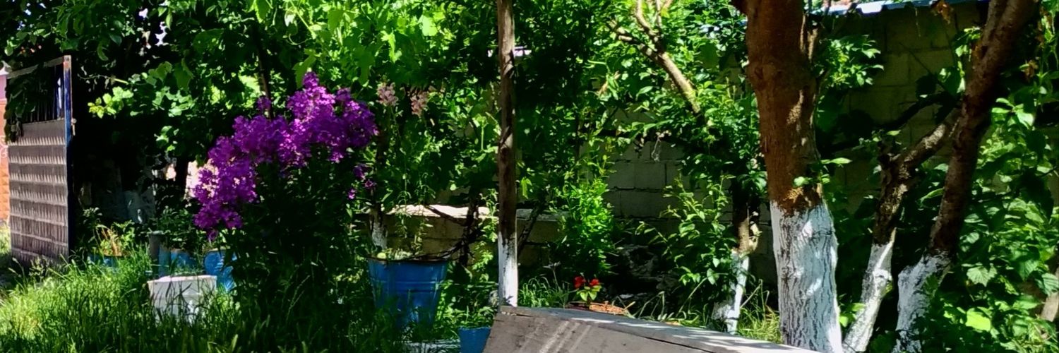 serhan_atalay_'s profile banner image