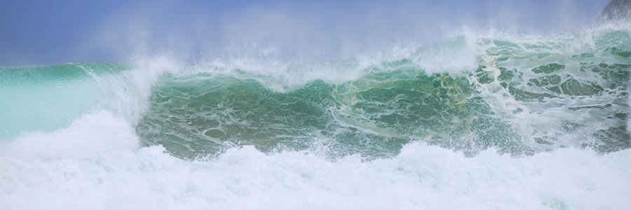 Surfmarket.org banner