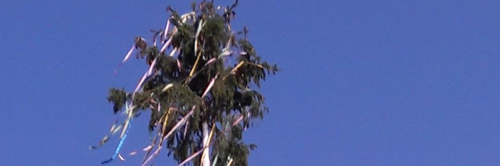 Marie.luise.angner@🇩🇪🇮🇱🇱🇷 banner