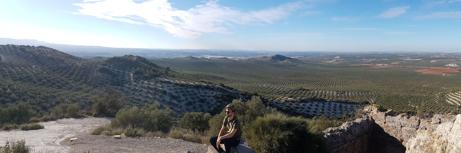 Chivutorres's profile banner image