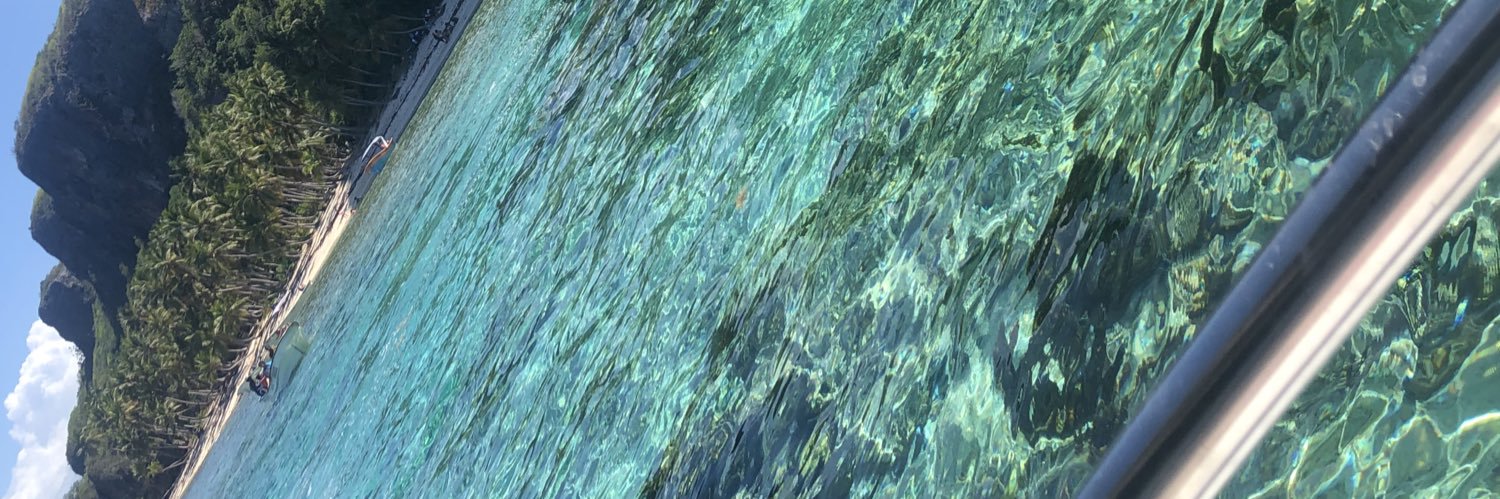 LauraTaverasA's profile banner image
