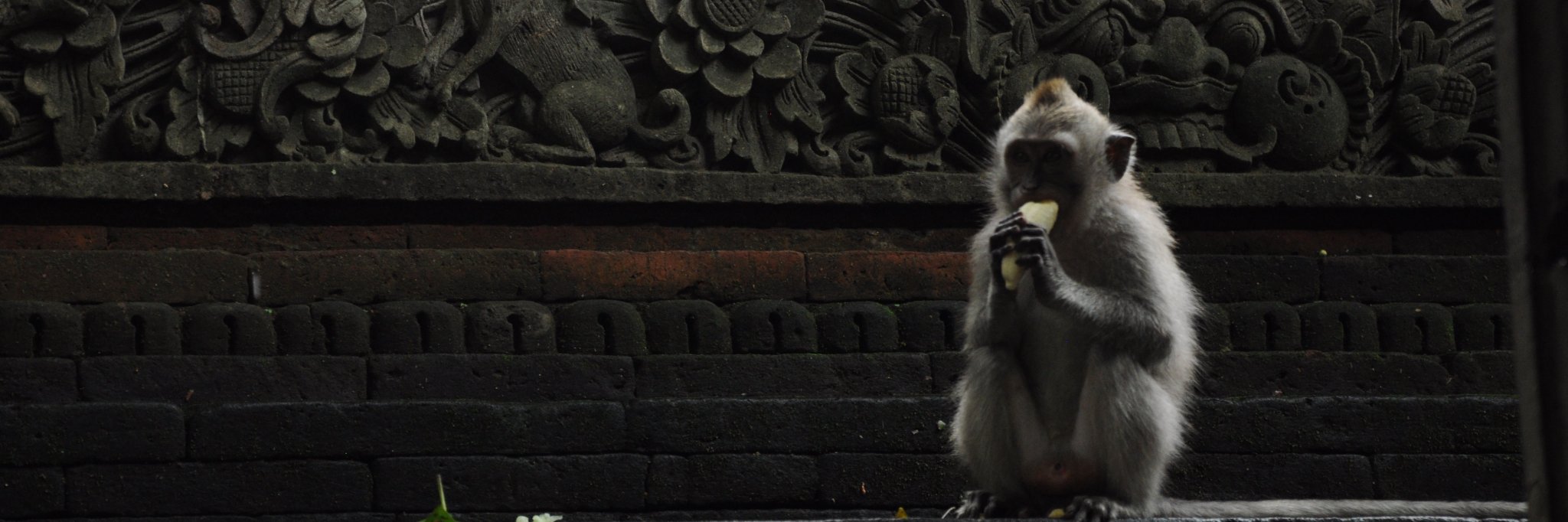 Mark Gillespie banner