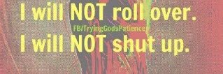 nogooddividesus's profile banner image