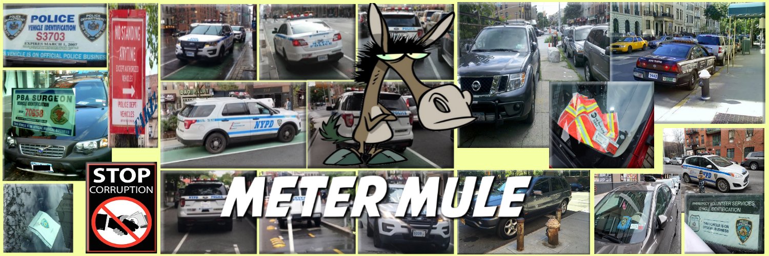 Meter Mule banner