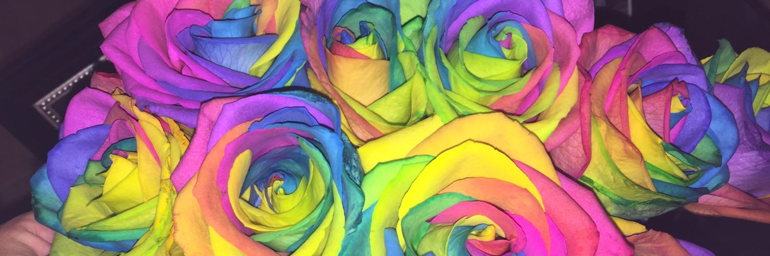 MsLatinaMami's profile banner image