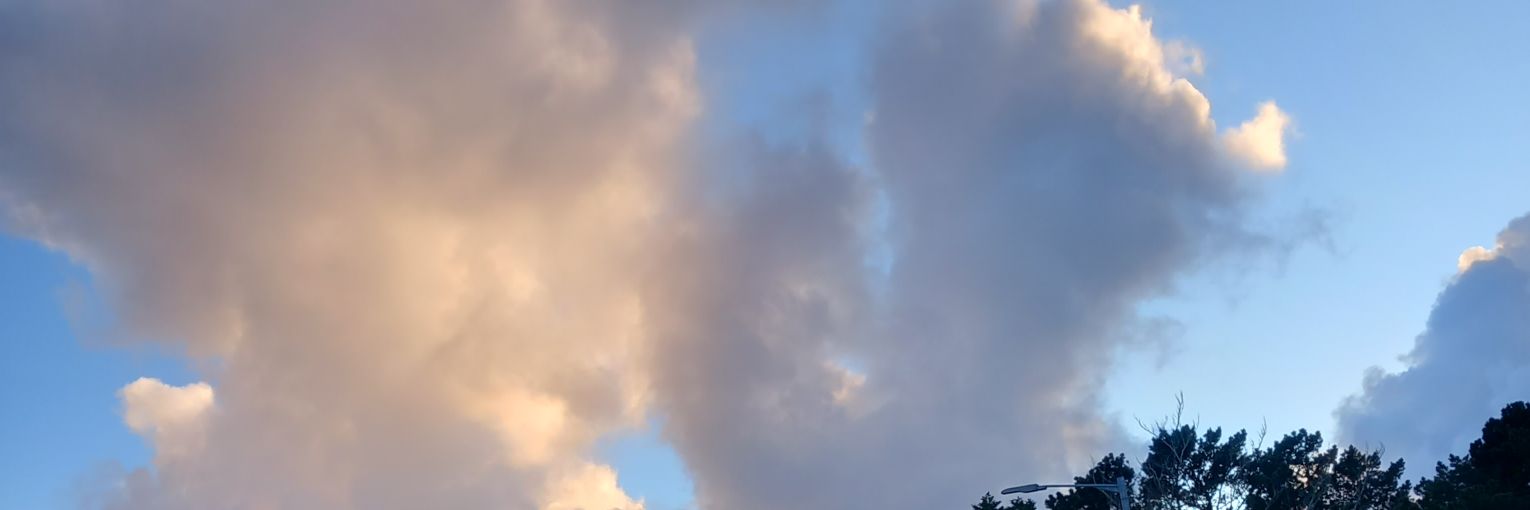 indi_smiler's profile banner image
