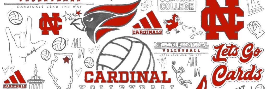 North Central College Women’s Volleyball banner