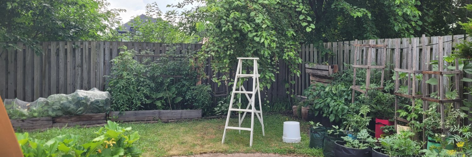 D 🌱🌳🌸🌻🌷🥀 banner