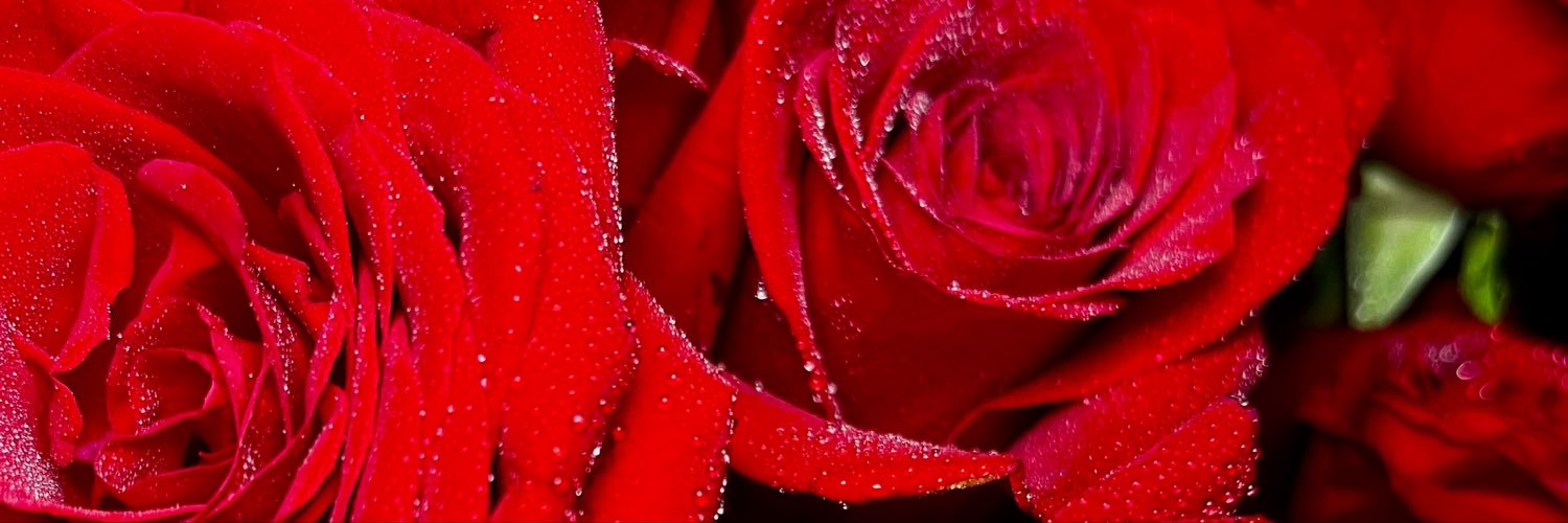 __NicoleKB's profile banner image