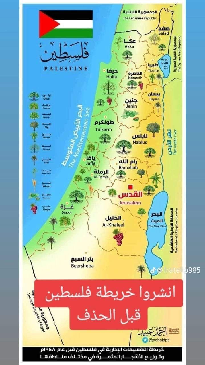 المواطن مصرى banner