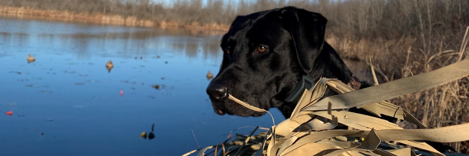 Ted (Coach) Meyers banner