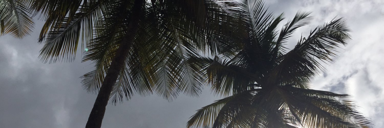RobynRuelas's profile banner image