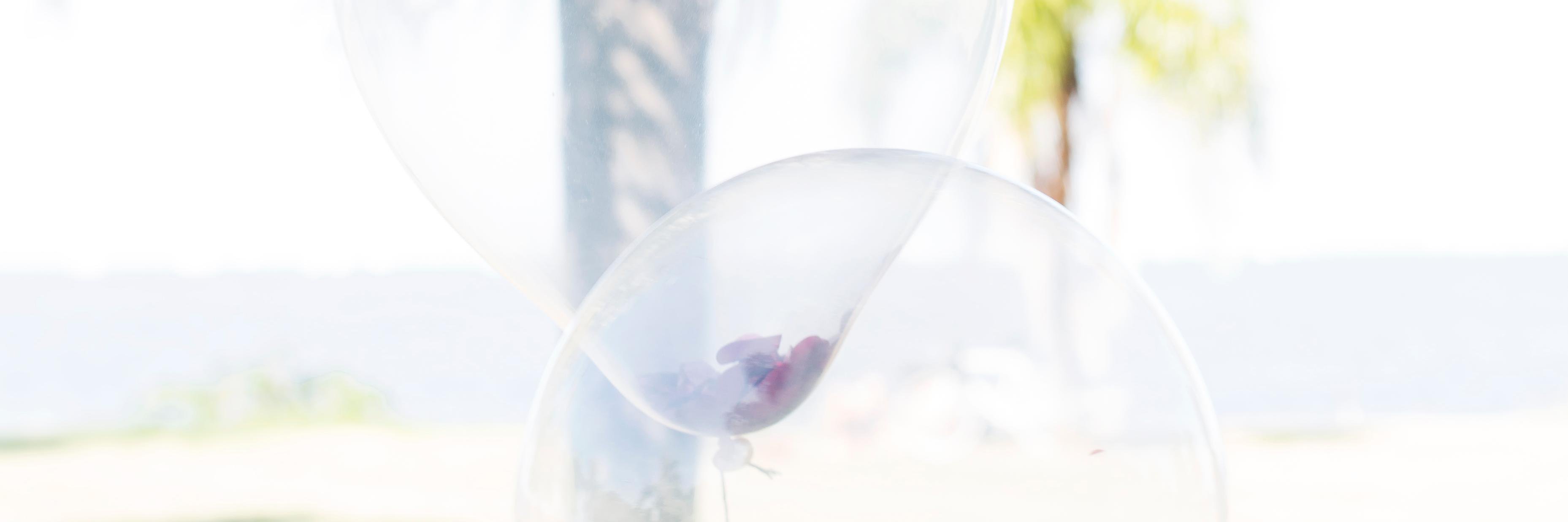 VaneSeve's profile banner image