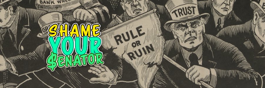ShameUrSenator's profile banner image