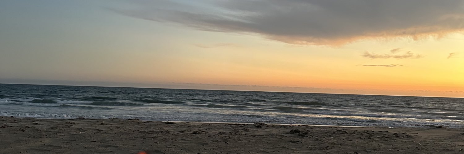 alyssaarc's profile banner image