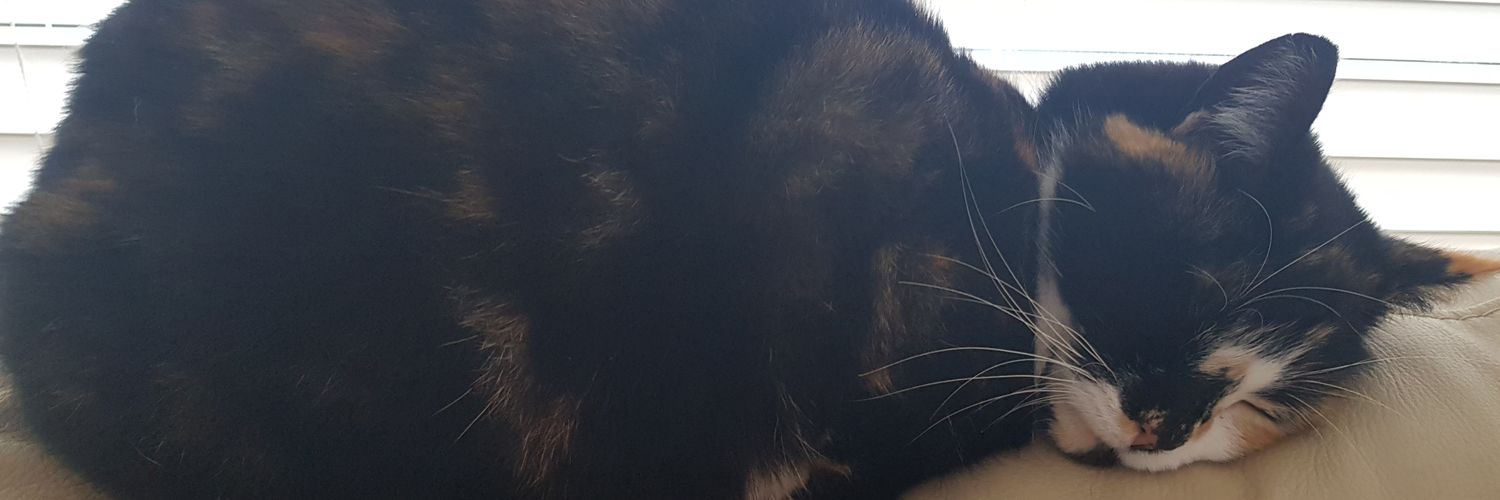 lemscul's profile banner image