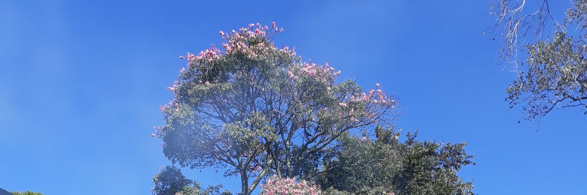 nam13's profile banner image