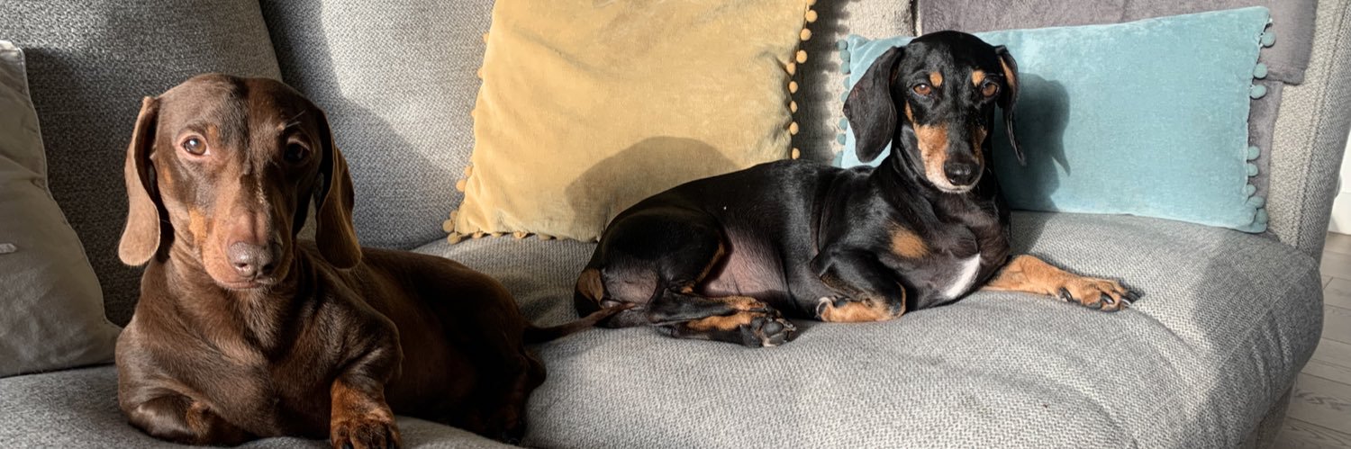 Liam nicholas banner