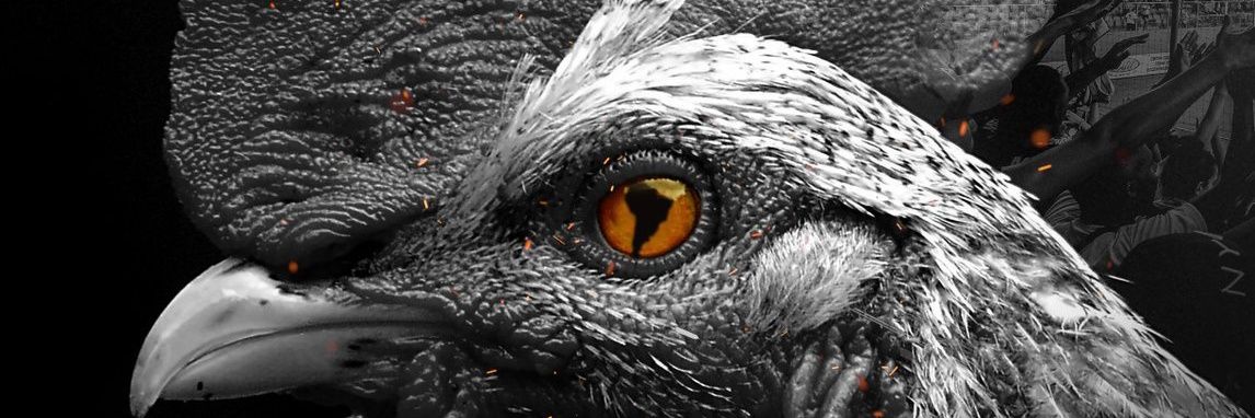 tataide's profile banner image