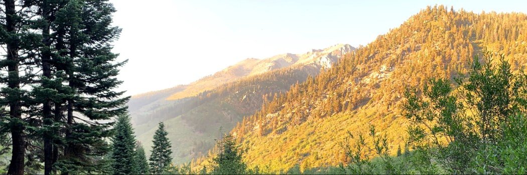 Austin E. Y. T. Lefebvre banner